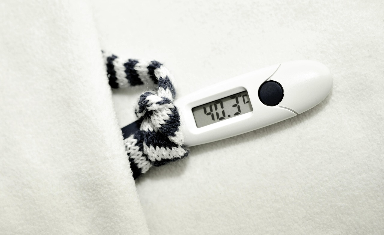 薄毛改善に効果的な食事とは？