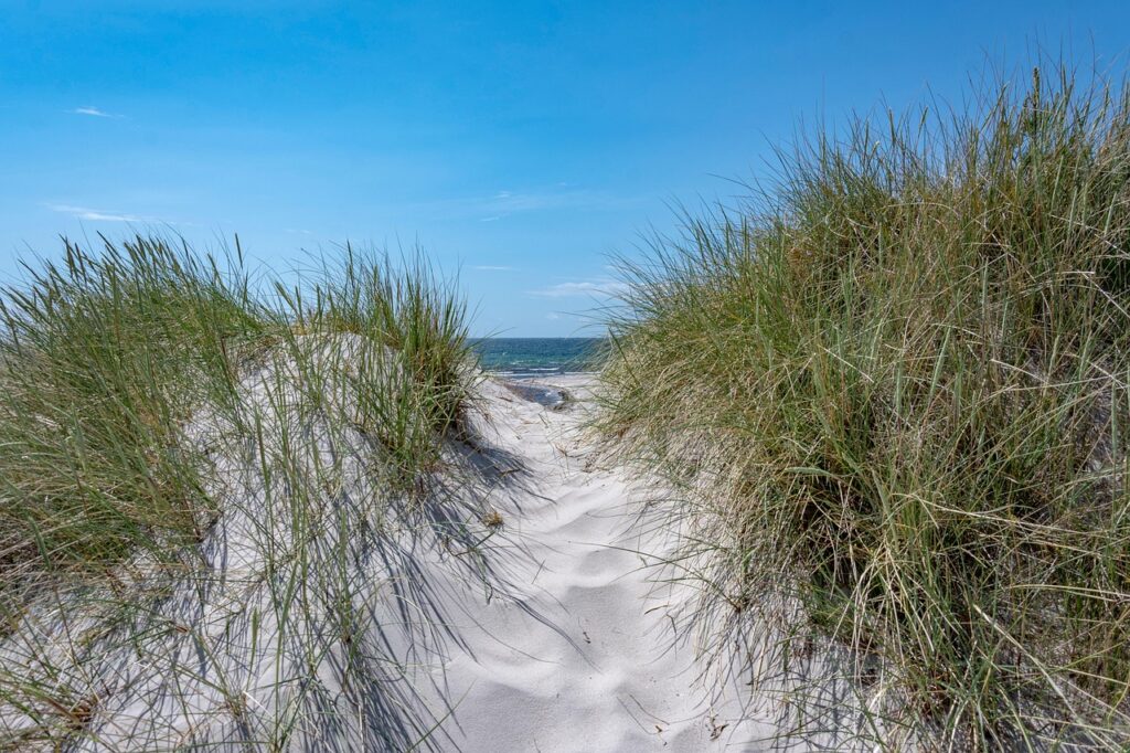 髪の毛が薄い20代の悩みを改善するための方法は？