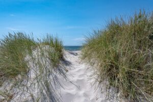 髪の毛が薄い20代の悩みを改善するための方法は？