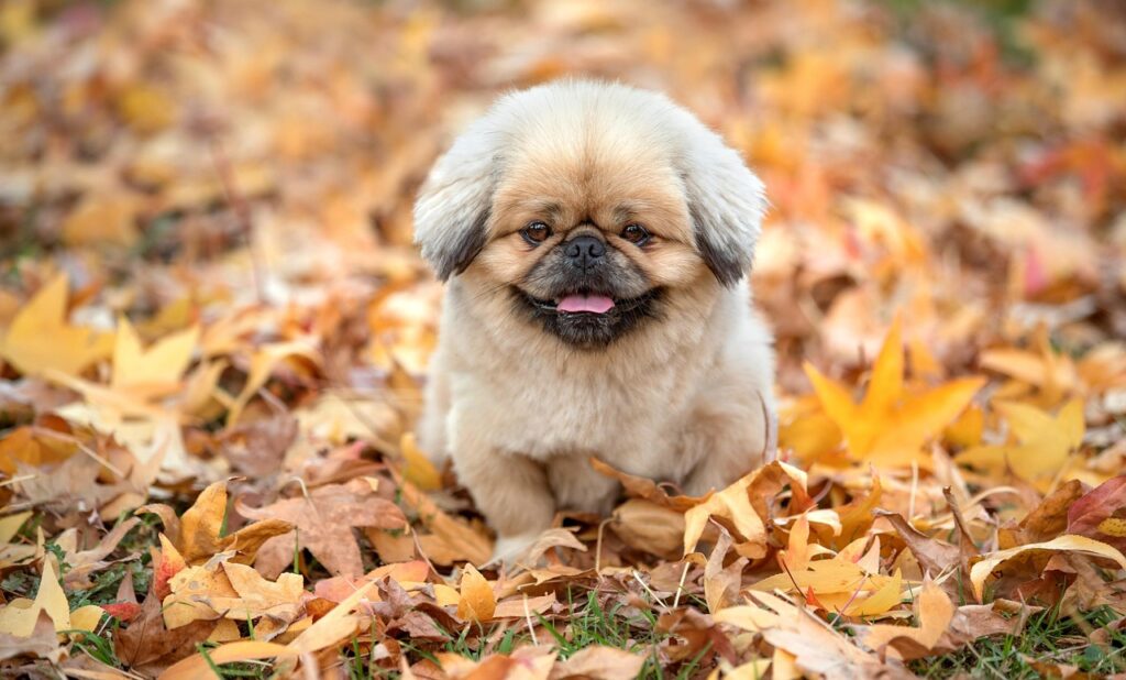 若ハゲに悩むあなたのメンタルケア方法は？