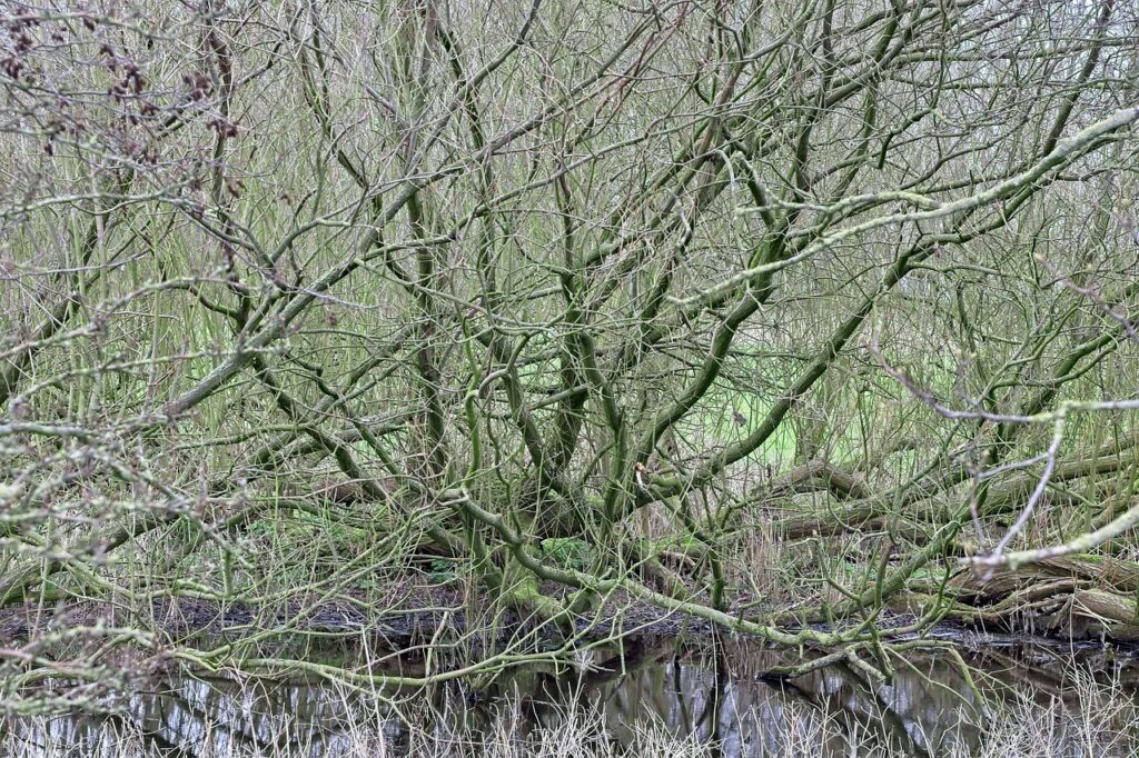 若ハゲの原因は遺伝だけなのか、それとも他にもあるのか？