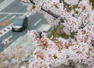 AGA治療は何歳から始めるべきなのか？