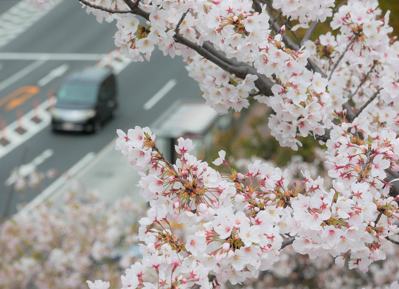 AGA治療は何歳から始めるべきなのか？