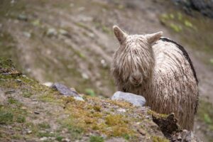 前髪の薄毛対策に効果的な生活習慣とは？
