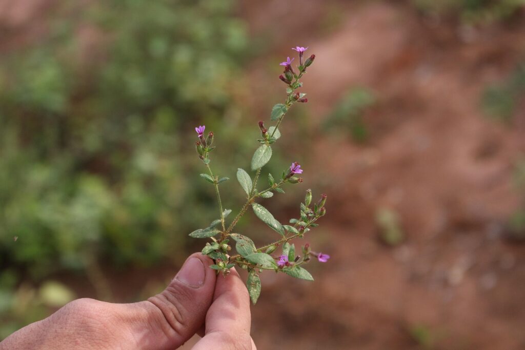 高校生が薄毛を改善するための生活習慣とは？