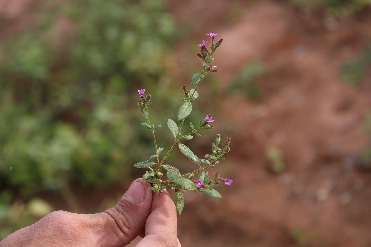 高校生が薄毛を改善するための生活習慣とは？