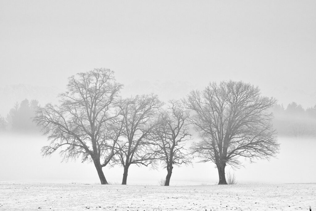 若ハゲ社会人が初期段階で試すべき対策は？