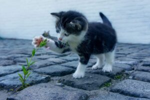 生え際が後退した男性におすすめの髪型は？