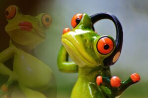 高校生が薄毛に気づいた写真での変化とは？