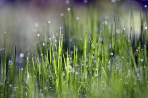抜け毛が朝起きたら多いのはなぜ？その原因と対策とは？
