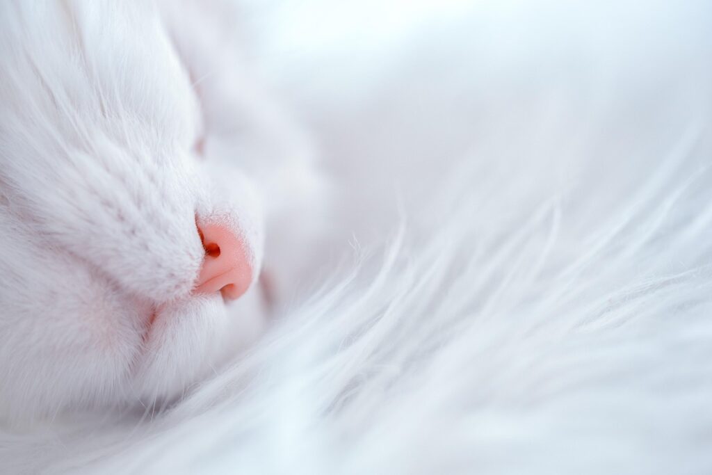 抜け毛を防ぐための睡眠不足改善方法は？
