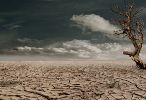 薄毛に悩むあなたへ、乾燥肌向けのシャンプーはどれが効果的？